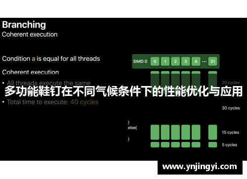 多功能鞋钉在不同气候条件下的性能优化与应用