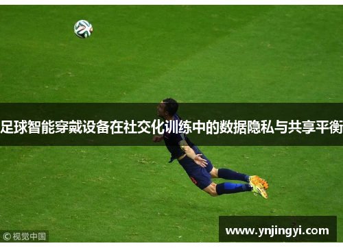 足球智能穿戴设备在社交化训练中的数据隐私与共享平衡